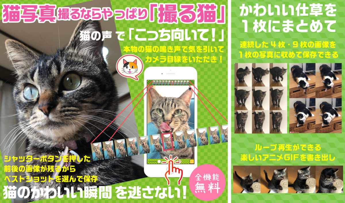 【プレスリリース】アニメGIFも簡単に作れる！猫写真専用カメラアプリ「撮る猫」の新バージョン3.3が6月19日リリース！