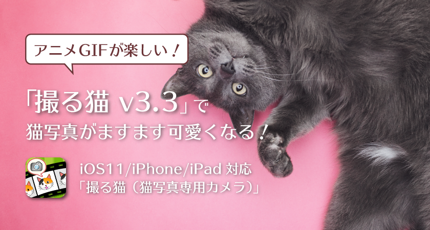 アニメGIFが楽しい！撮る猫 v3.3で猫写真がますます可愛くなる！